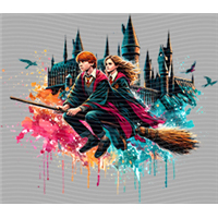 Harry Potter-HP 94